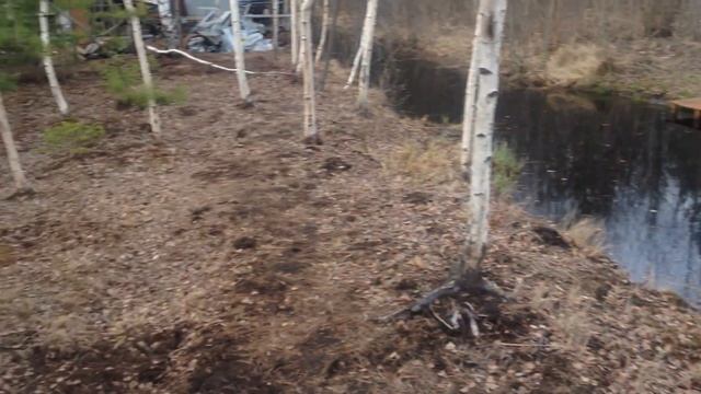 Влог / отдых на даче / рецепт скумбрии на гриле / стреляю из ружья / смотреть онлайн