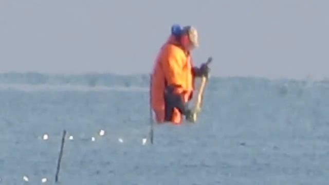 Морской коп. Тест Сanon sx530hs. ультразум. смотреть онлайн