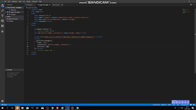 Инструкция по установке виджета byvoice.net на пустую страницу смотреть онлайн