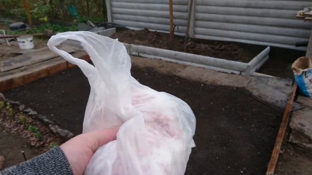 Как посеять газон своими руками первый раз, осень 2021. Как все мешали съёмкам!!!! смотреть онлайн