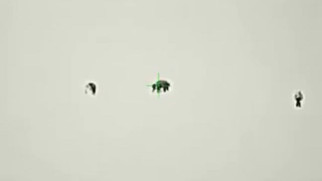 LOV DIVOČÁKA, NIGHT PEARL FOX 19 WIFI смотреть онлайн