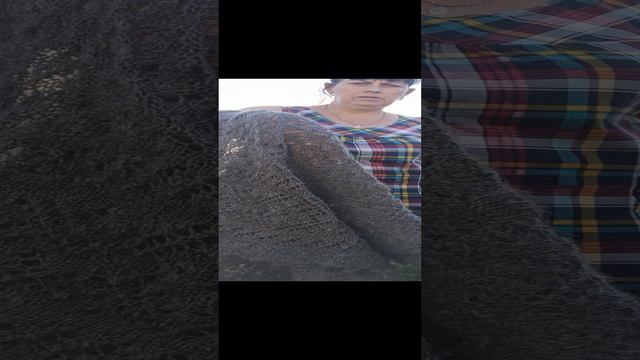 1000061951.mp4 смотреть онлайн