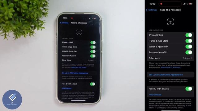 How To Set Up 2 Face Id In Apple Iphone Ios | Alternative Face Id In Iphone | English смотреть онлайн