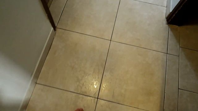 Подписчики управляют моим днем ))) Что поесть? Что надеть? Пойти ли на вечеринку?... смотреть онлайн