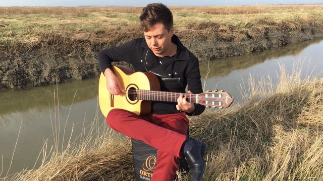 Pirates of the Caribbean Theme - Acoustic, Classical Fingerstyle Guitar by Thomas Zwijsen смотреть онлайн