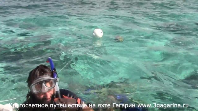 Рыбалка на Кубинских рифах, Кругосветное Путешествие смотреть онлайн