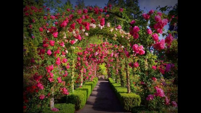 НЕБЕСНОЕ ПОДТАЛКИВАНИЕ К НОВЫМ НАЧИНАНИЯМ. МОЛИТВА #НаянаБелосвет смотреть онлайн