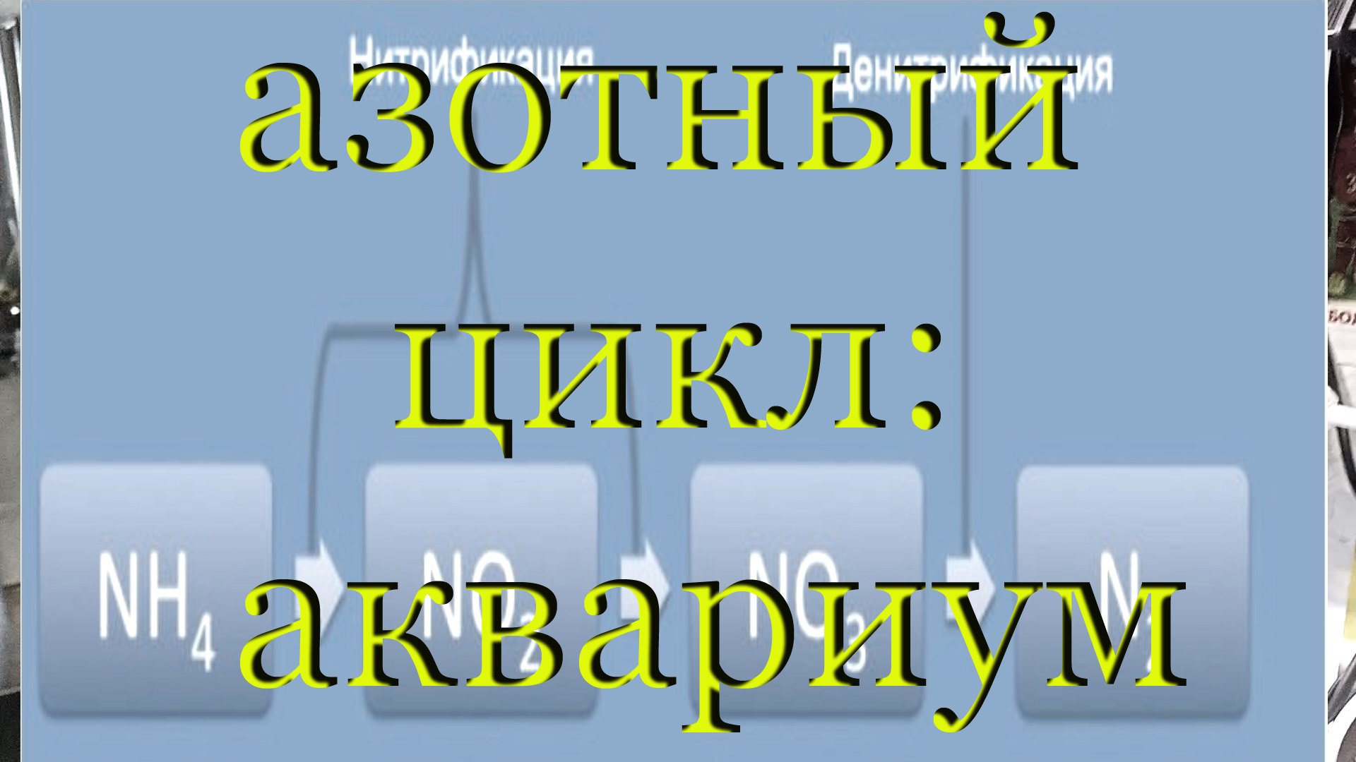 #Азотный цикл в креветочнике, аквариуме простыми словами: #запуск нового аквариума, креветочника. смотреть онлайн