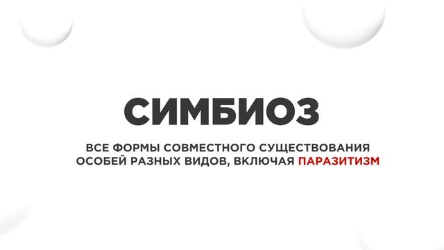От любви до ненависти: удивительные примеры симбиоза муравьёв с насекомыми и другими организмами! смотреть онлайн