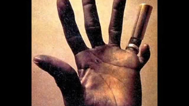 HOUND DOG TAYLOR - Dust My Broom смотреть онлайн