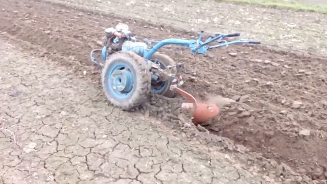 Мотоблок Пашет сам смотреть онлайн