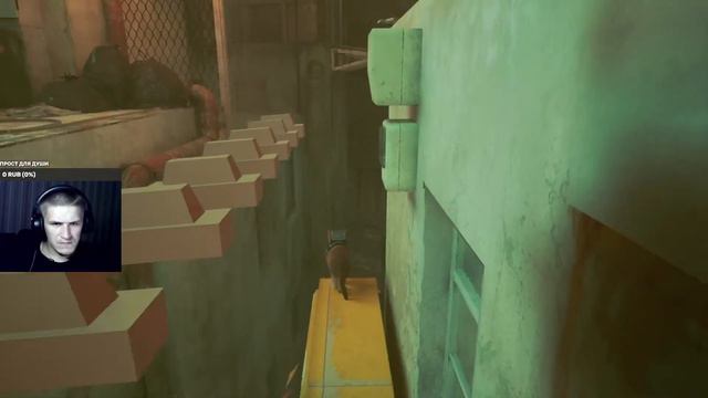 #stray  #Бродить  Киса киса мяу мяу