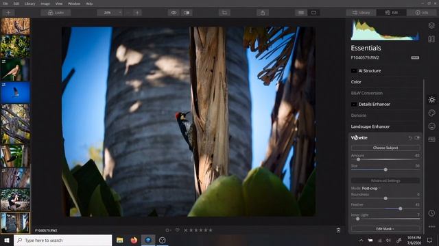 Luminar Full Edit смотреть онлайн