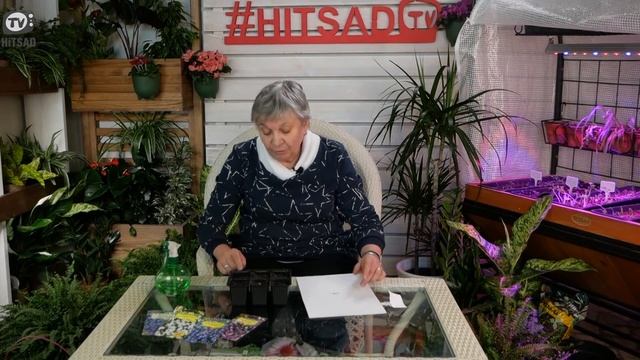 Прекрасная Лобелия ? Посадка и Уход ? Советы Садоводам от Хитсад ТВ смотреть онлайн