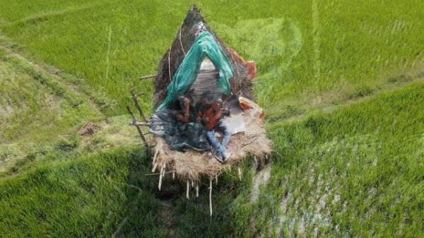 The Solfeggio Peace Orchestra feat Medicina Relaxante, Solfeggio Sanctuary - The Expanse