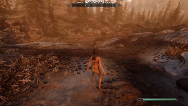 SKYRIM SE : Animation Mod Reel