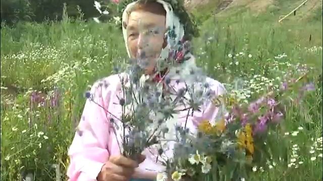 Чалгы,кайрак һәм җыр смотреть онлайн
