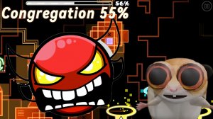 Congregation 55%