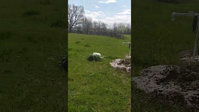 ПРОДАЕТСЯ УЧАСТОК ИЖС, ЮГ смотреть онлайн