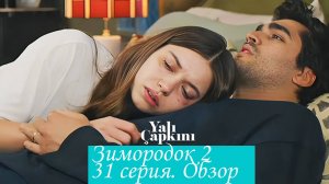 Зимородок 2. Серия 31. Обзор