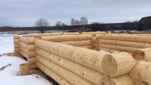 Срубы из сосны ручной рубки под рубанок/Без Посредников.89271904521 смотреть онлайн