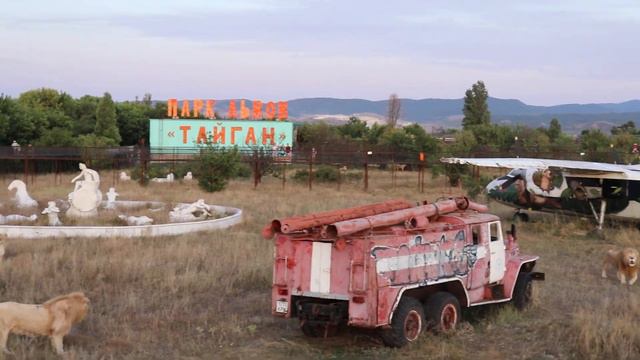 Грозный рёв всей группировки))) Тайган. Белогорск. Крым. смотреть онлайн