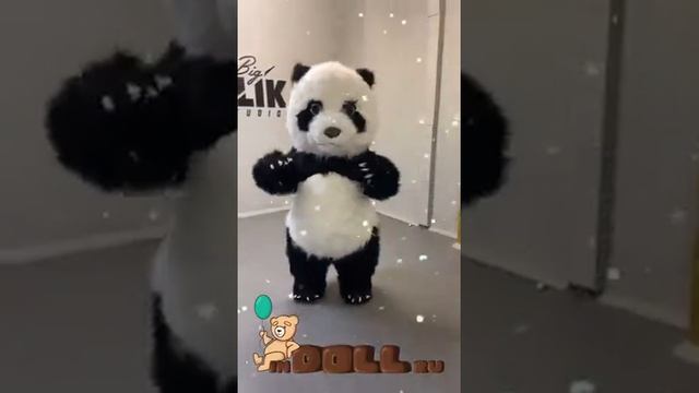 Надувная ростовая кукла Панда 2 метра. Inflatable Mascot. Пневмокостюм.