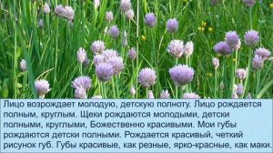 Настрои "Молодое лицо" и "Молодые, Божественно прекрасные глаза" Новая версия Настрои Сытина Г.Н.