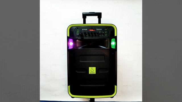 Портативная колонка Мощная колонка SOK NE-303 JBZ NE-303 смотреть онлайн
