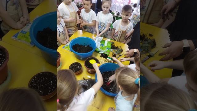Труд в уголке природы и наши успехи. 244 Красноярск смотреть онлайн