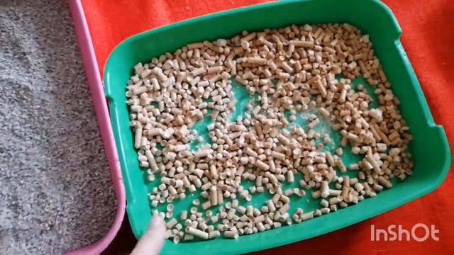 Как быстро приучить котёнка к лотку. Из личного опыта. Котоведение для чайников. Лайфхак смотреть онлайн