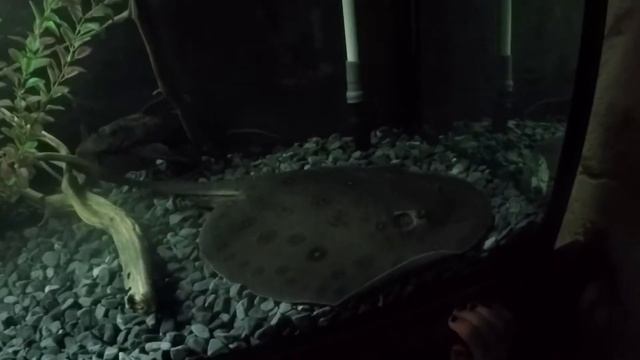 Аквапарк юрского периода DREAM ISLAND. смотреть онлайн