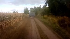 Зерно прямо с поля. Как разгружается бортовой зерновоз?