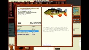 Квест Окушки | Ловля по путевке РР3