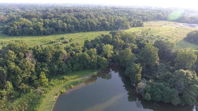 Leary Lake 1 смотреть онлайн