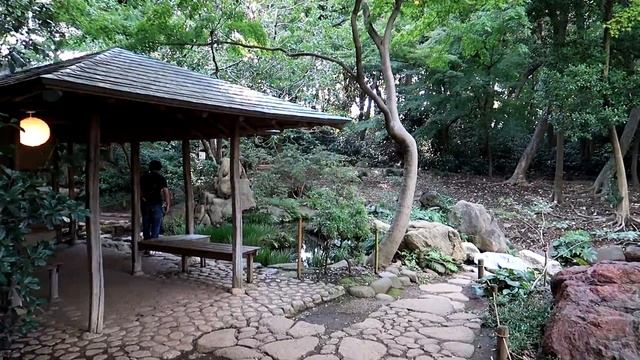 Парки в Токио. Shinsui koen и сад Rikugien. смотреть онлайн