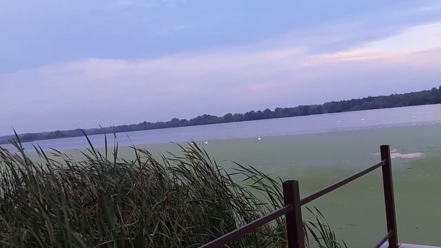 48. Уличный комплекс с коптильней горячего и холодного копчения ч.1 смотреть онлайн