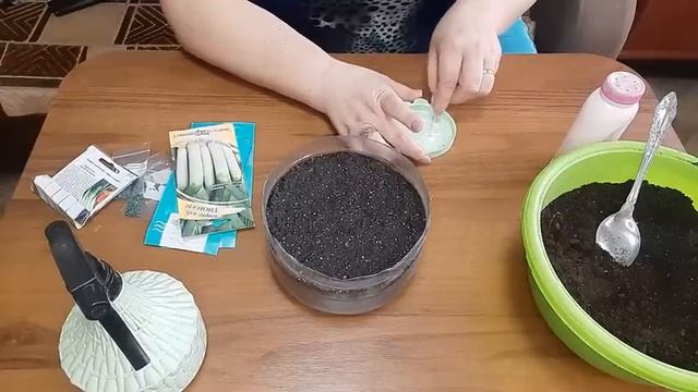 ЛУК из Семян? Выращивание ЛУКА от ПОСЕВА до УБОРКИ? Посев ЛУКА ПОРЕЯ?? смотреть онлайн