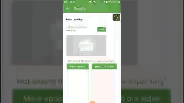 PlantSnap identifies a Sweetpea (Lathyrus odoratus) смотреть онлайн