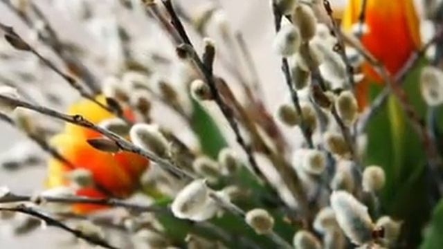 10 апреля 2023 г. смотреть онлайн