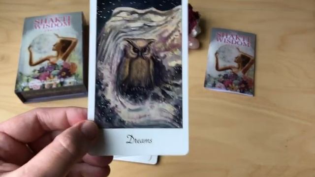 Shakti Wisdom Oracle Deck Unboxing and First Impressions смотреть онлайн