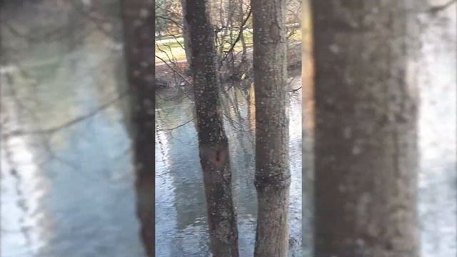 Рима из Рима. Этикет. смотреть онлайн