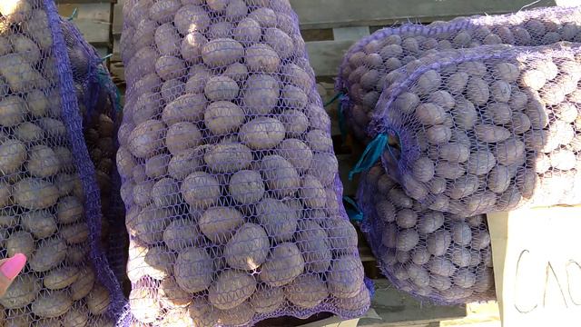 6 апреля рынок Большие Копани (2 часть) смотреть онлайн