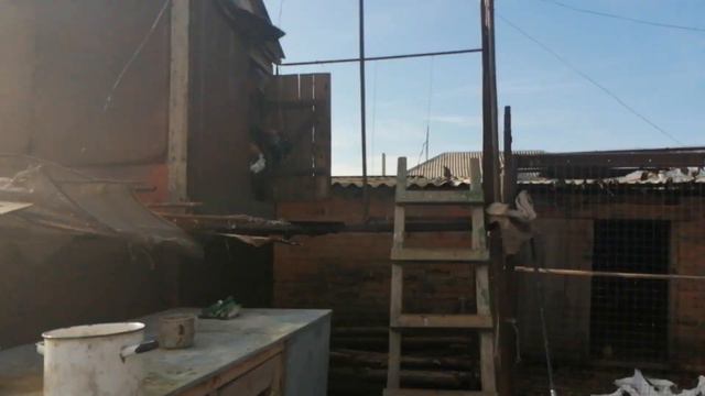 ГОЛУБИ // В ГОСТЯХ.У НАГОВИЦКОГО.А.П. РОСТОВСКАЯ ОБЛ. С. ЕКАТЕРИНОВКА..5.11.19. смотреть онлайн