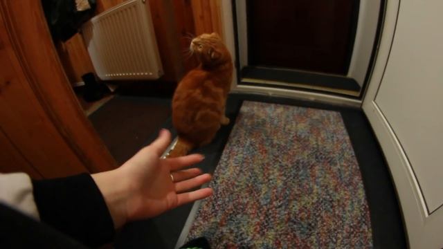 Осенний VLOG с дачи ♕ смотреть онлайн