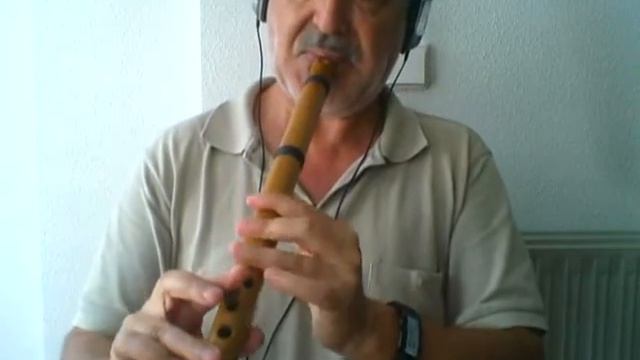 Married life - UP - Quena flute смотреть онлайн
