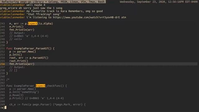 Refactoring pegn-go Library • Golang, PEGN, Linux, Vim, Tmux, Bash смотреть онлайн