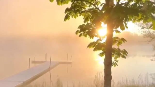 Что важно для счастья Новелла для детей. Автор Элла Киселева смотреть онлайн