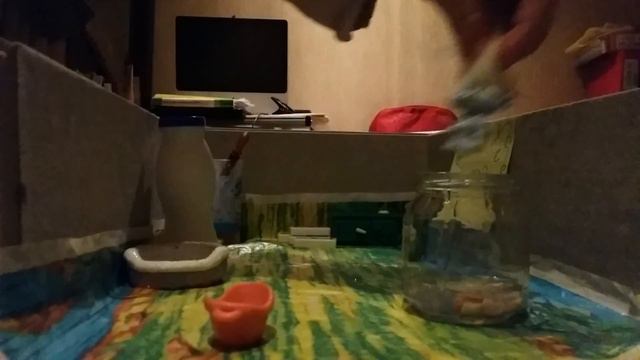 Кухня LPS смотреть онлайн