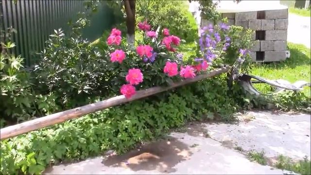 Моменты счастья / Что такое счастье ? смотреть онлайн